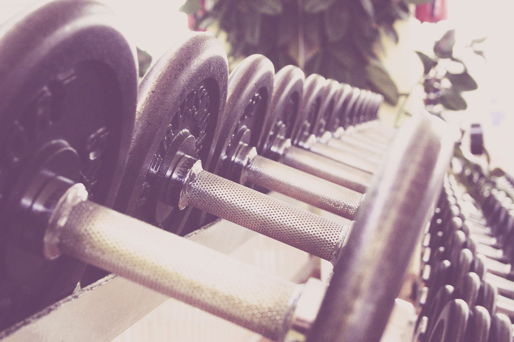 Gym på Högberga Gård på Lidingö